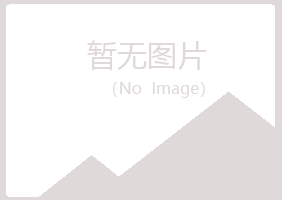 绥中县紫山金属有限公司